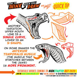 How to THINK when you draw SNAKES QUICK TIP!