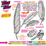 How to THINK when you draw FEATHERS QUICK TIP!