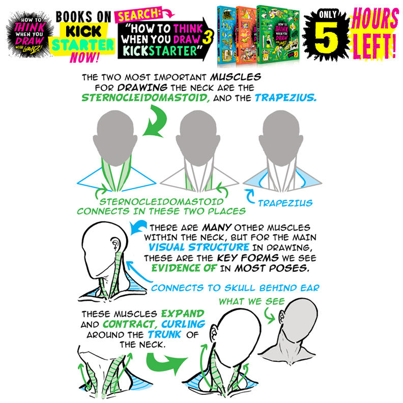 Neck Timer Drawing NECKS! FIVE HOURS until ALL BOOKS SELL OUT!!!!!!!! by ...
