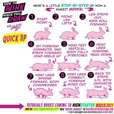 How to THINK when you draw RABBITS QUICK TIP!