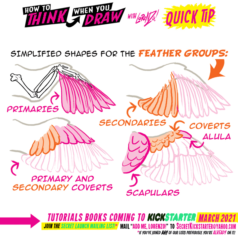 BIRD WING BASICS for #LEARNUARY day FOUR! by EtheringtonBrothers on ...