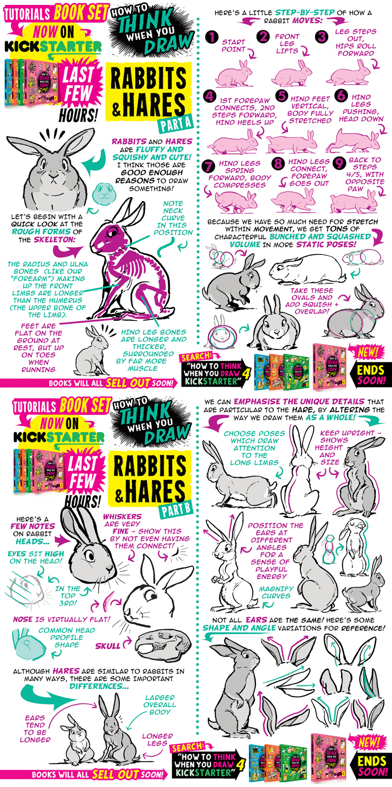 Rabbits taming.io by quinneXoX on DeviantArt