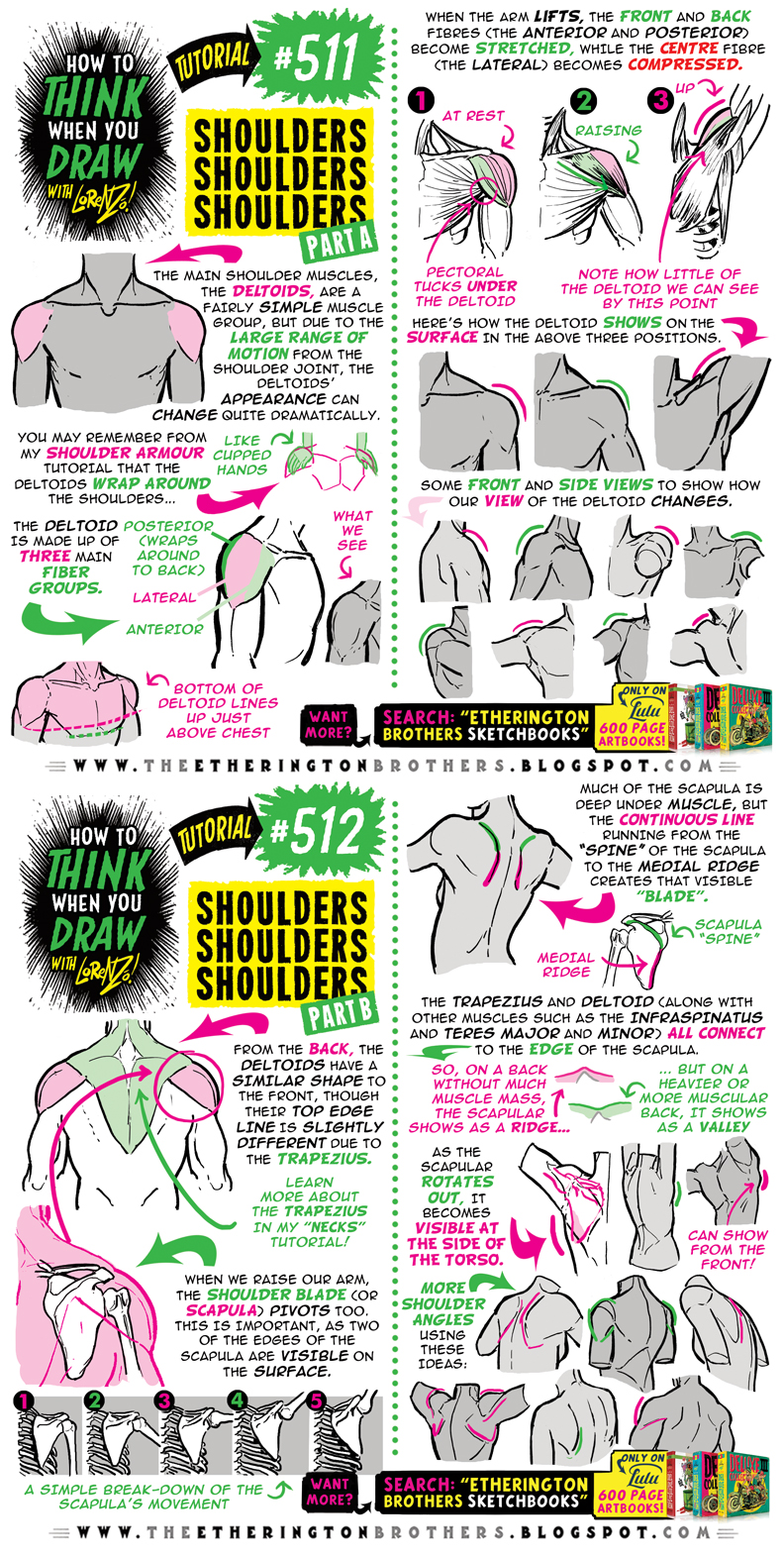 How to THINK when you draw BIRD WINGS QUICK TIP! by EtheringtonBrothers on  DeviantArt