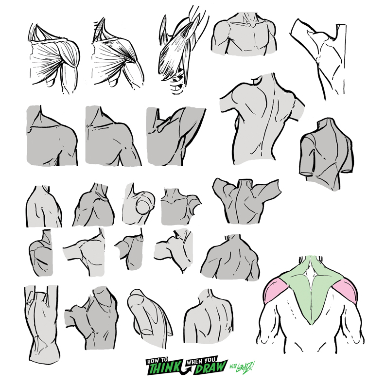 Simple Shoulder Example SHOULDER references! by EtheringtonBrothers on DeviantArt
