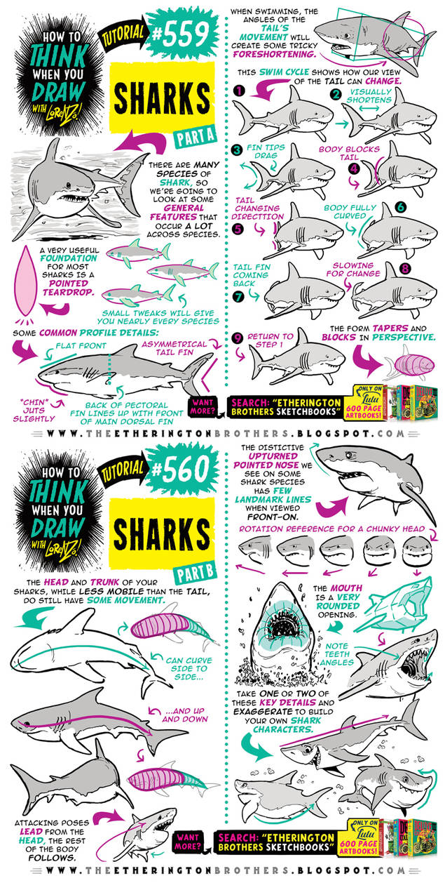 BRAND NEW TUTORIAL! How to draw SHARKS! by EtheringtonBrothers on ...