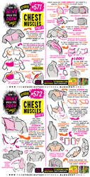 BRAND NEW TUTORIAL! How to draw CHEST MUSCLES!