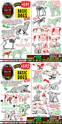 How to THINK when you draw BASIC DOGS tutorial!