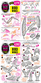 How to THINK when you draw BASIC BIRD WINGS!