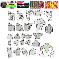 SHOULDER MUSCLE REFERENCE SHEET! 75 HOURS LEFT!