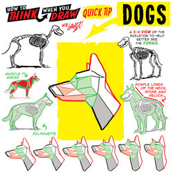 How to THINK when you draw DOGS QUICK TIP!