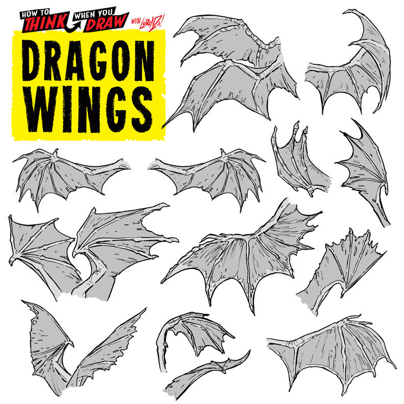 Drawing Dragon Wings 6 DRAGON WING REFERENCES! by EtheringtonBrothers on DeviantArt