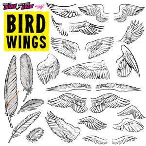 BIRD WINGS!