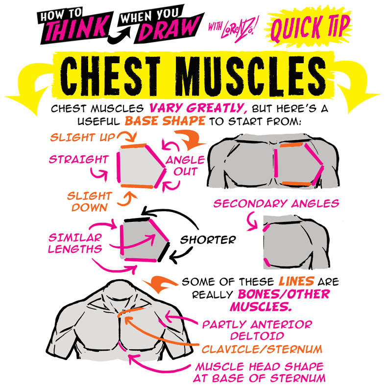 How to THINK when you draw CHEST MUSCLES tip! by EtheringtonBrothers on ...