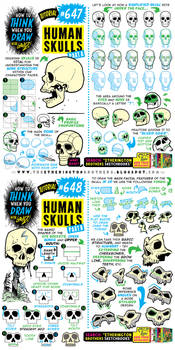 how to THINK when you draw HUMAN SKULLS Pt 1 of 4!