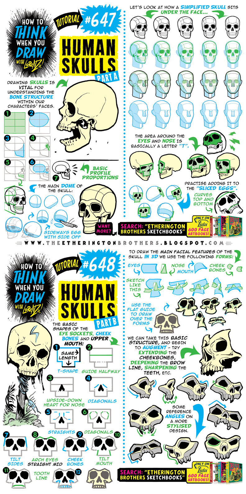 Human Skull Riddle how to THINK when you draw HUMAN SKULLS Pt 1 of 4! by ...