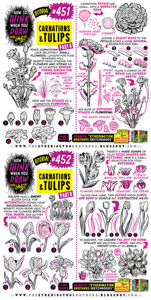 How to draw CARNATIONS and TULIPS!