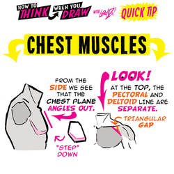 How to THINK when you draw CHEST MUSCLES tip!