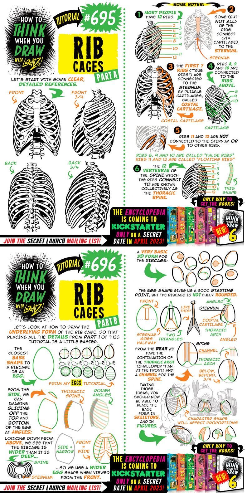 How to THINK when you draw RIB CAGES tutorial! by EtheringtonBrothers ...