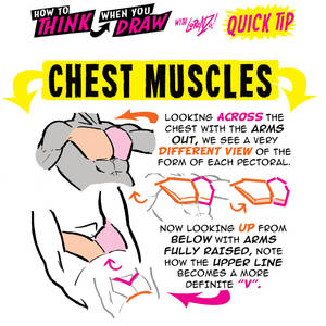 How to THINK when you draw CHEST MUSCLES tip!