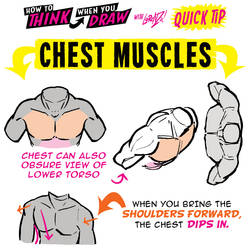 How to THINK when you draw CHEST MUSCLES tip!