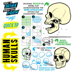 how to THINK when you draw HUMAN SKULLS tip!