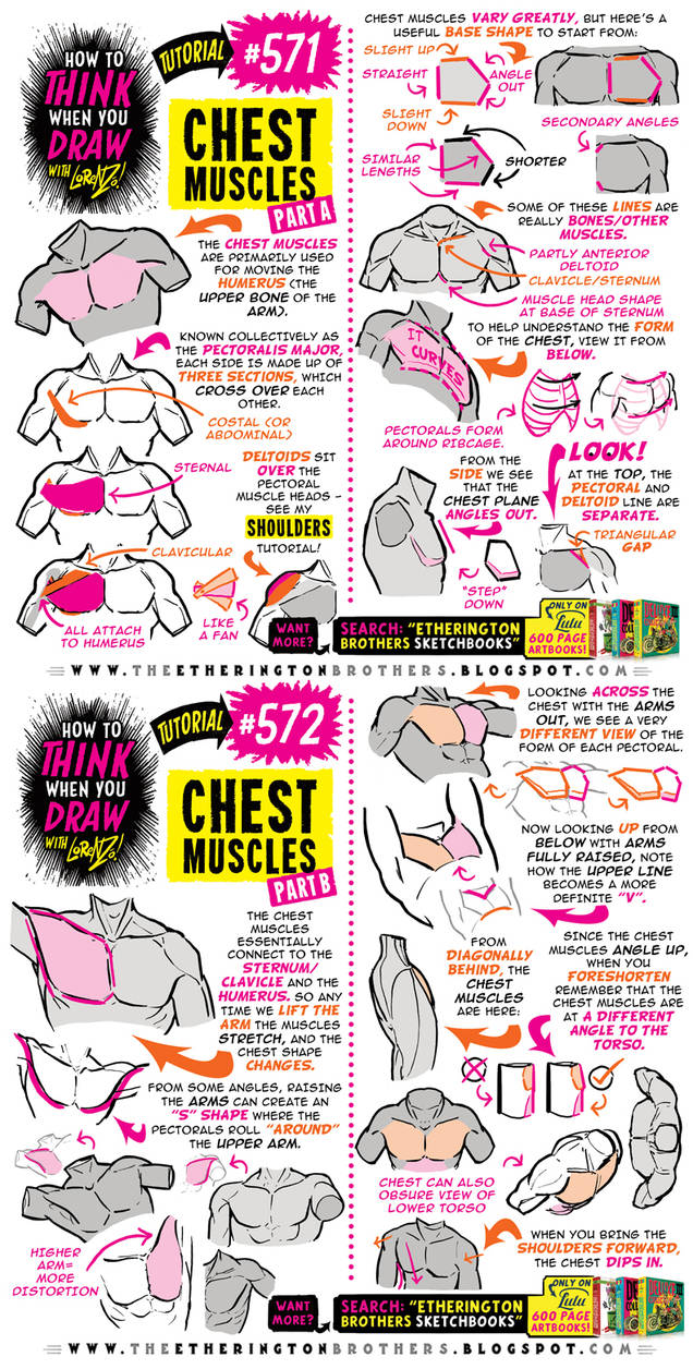 How to THINK when you draw CHEST MUSCLES tutorial! by ...