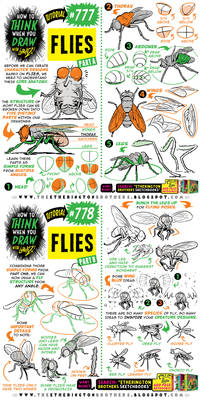 How to THINK when you draw FLIES tutorial!