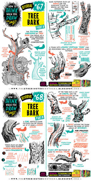 How to THINK when you draw TREE BARK tutorial!