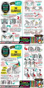 How to THINK when you draw THE CLAVICLE pt 1 of 2!