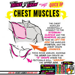 How to THINK when you draw CHEST MUSCLES tip!