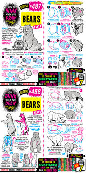 How to THINK when you draw BEARS tutorial!
