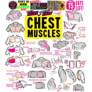 CHEST MUSCLES! 15 DAYS until the BOOK SELL OUT!!!