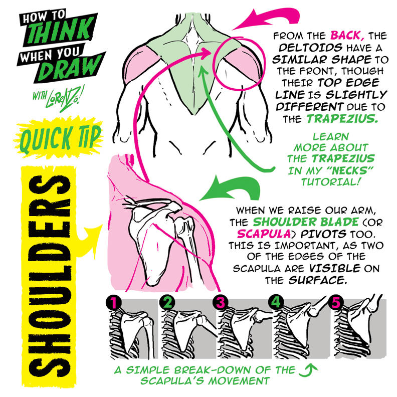 Simple Shoulder Example How to THINK When You Draw SHOULDERS Quick Tip! by EtheringtonBrothers ...