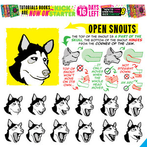 LAST FEW DAYS to get the TUTORIALS BOOKS!