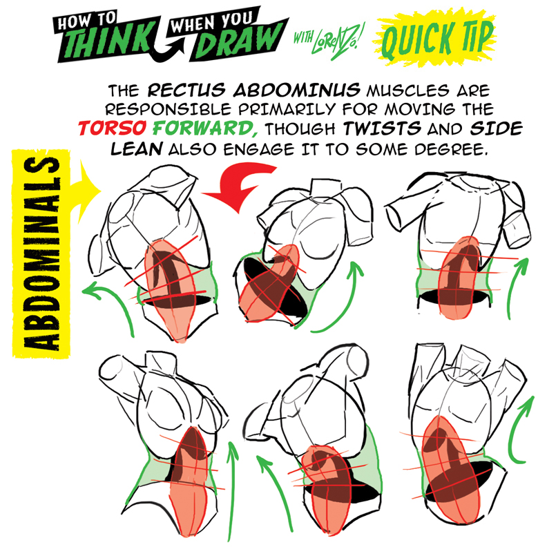 Deviantart To Draw How to THINk When You Draw ABDOMINALS! by EtheringtonBrothers on DeviantArt