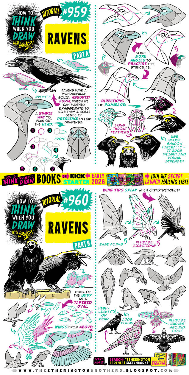 How top THINK When You Draw RAVENS tutorial! by EtheringtonBrothers on ...
