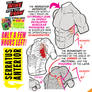 BOOKS will ALL SELL OUT in 38 HOURS' TIME!!!!!!