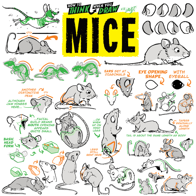 How to THINK When You Draw MICE!