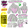 How to THINK When You Draw LATISSIMUS DORSI!