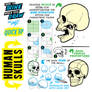 How to THINK When You Draw SKULLS!
