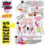 How to THINK When You Draw TRICEPS!