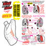 How to THINK When You Draw SERRATUS ANTERIOR!
