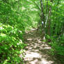 Trail 2