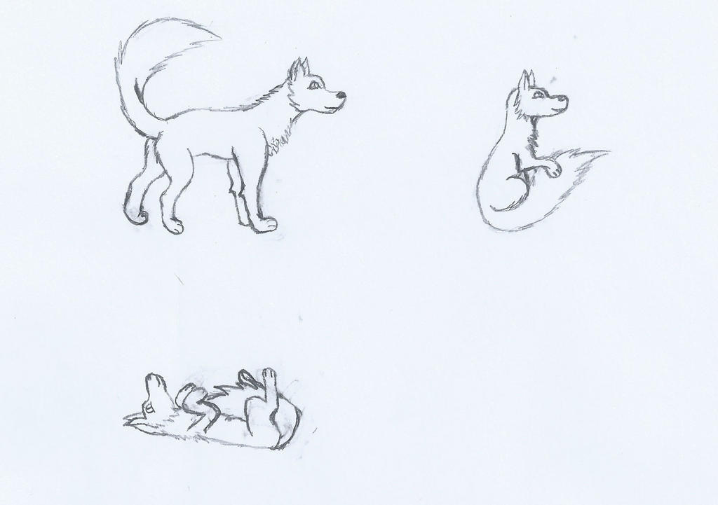 Set of poses done by me by KennyThePolarBear on DeviantArt