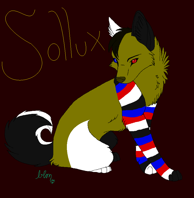 Wolf sollux