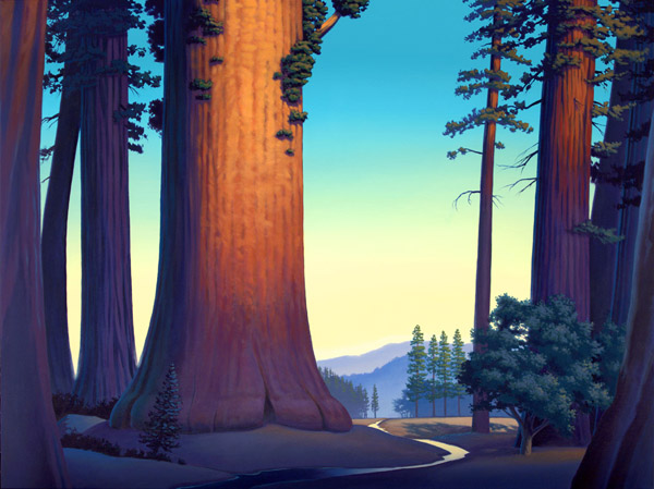 sequoia dawn