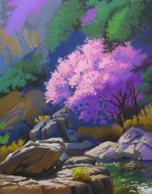 Spring Creek Study