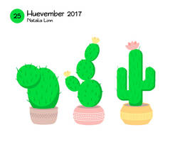 Cacti