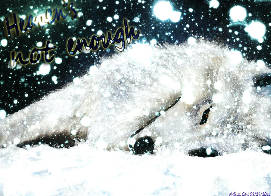 Wolf's Rain Wallpaper by harvestmoon92 on DeviantArt