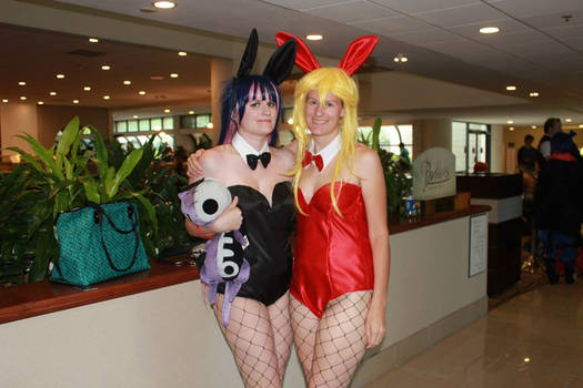 Cosplay - Bunny Girl Panty and Stocking